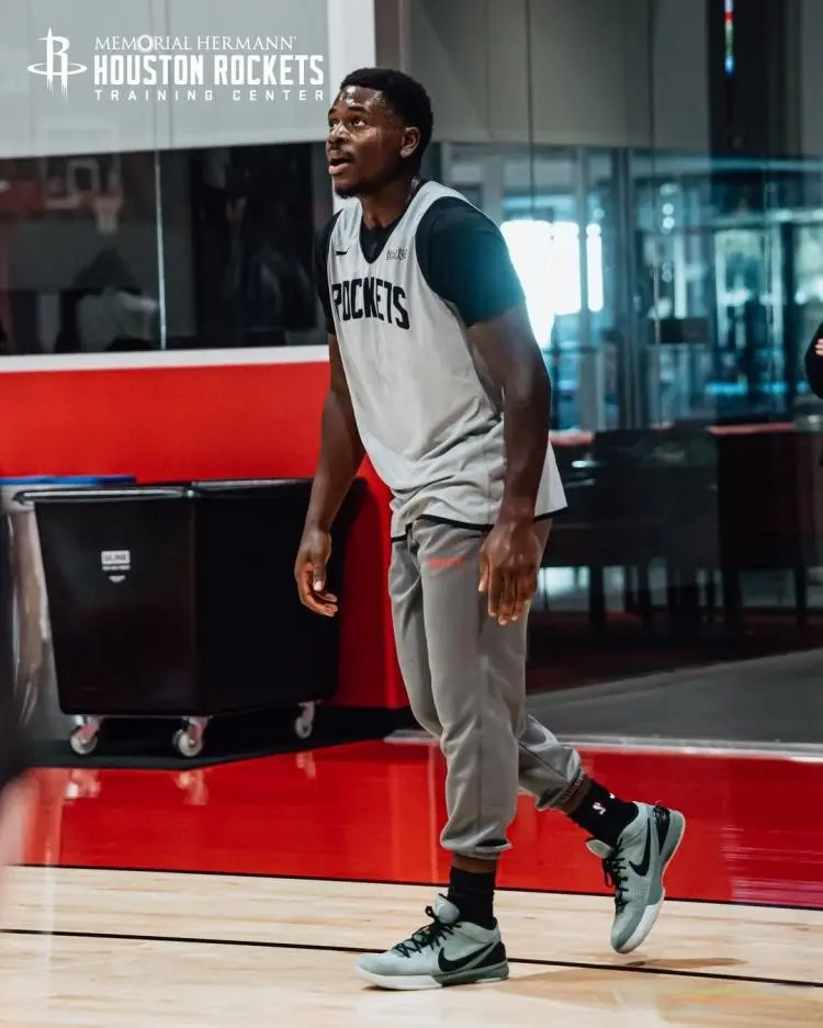 申京在今年 申京在今年