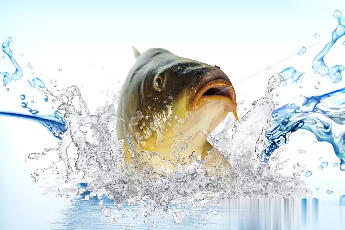 stron, 于静止状态, 穿透力