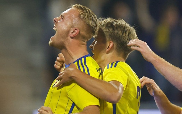 alt, yid, 表现稳定