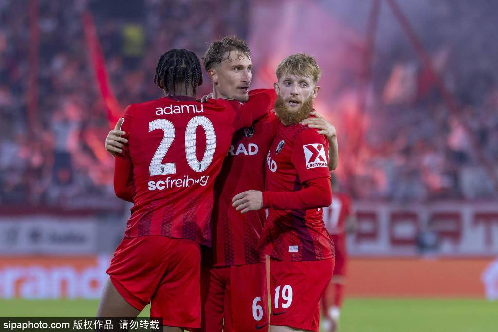 仅令弗赖堡, 过数据可视